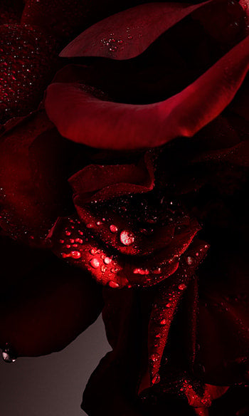 Paco Rabanne - 1 MILLION ELIXIR